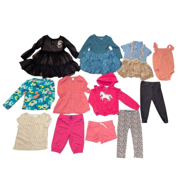 Huge Lot 12 Toddler Girls Long Sleeve Top Shirt Hoodie Jacket Pants Dresses  2T - Picture 1 of 3